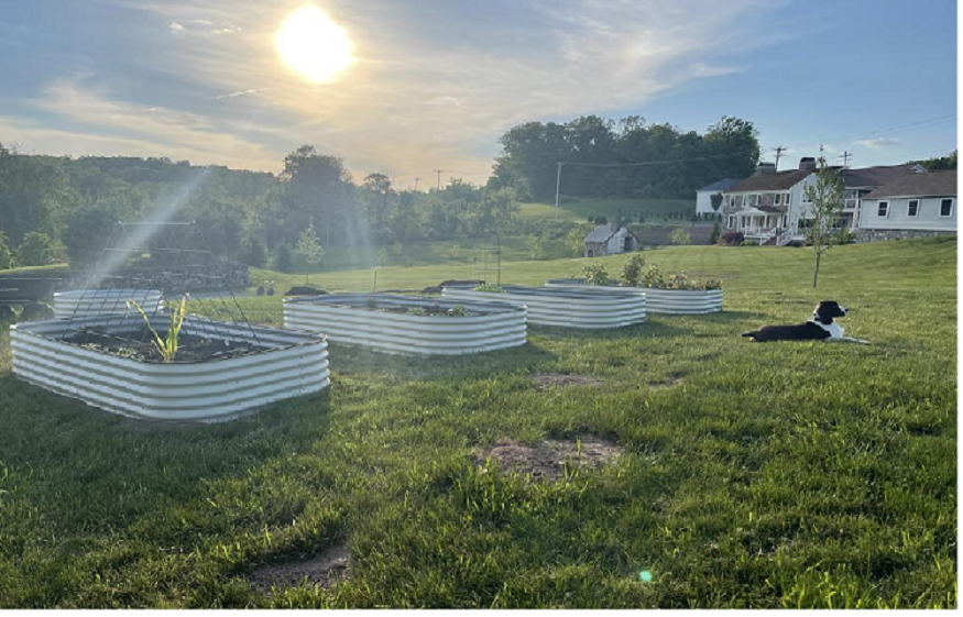 Raised Mattress Veggie Backyard in an City Setup