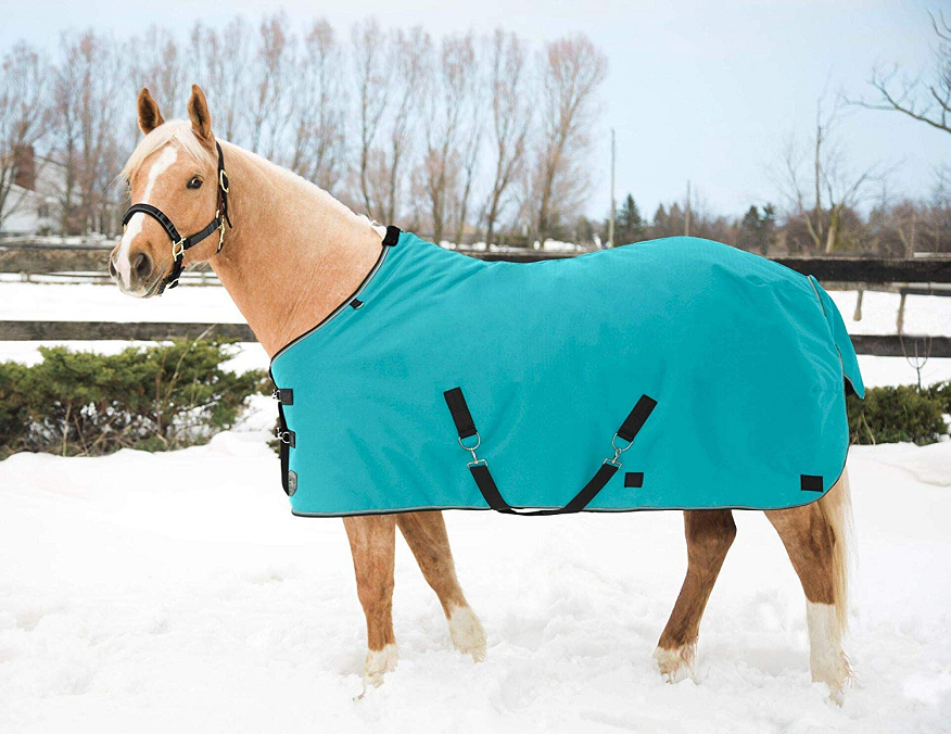 Horse Needs a Waterproof Blanket